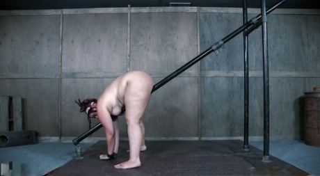 BBW bdsm sexy umění snímky