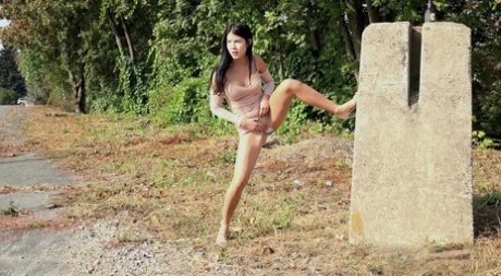 Lady Dee erotic star archive