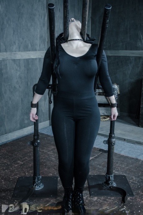 BBW bdsm horká vysoká kvalita galerie