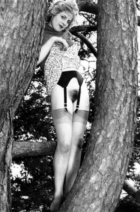 chatte vintage haut xxx galerie