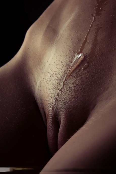 chatte huilée hd gratuit des photos