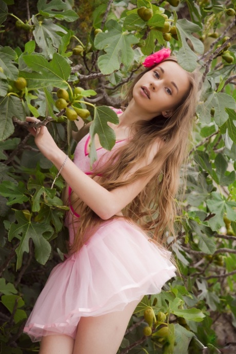 Milena D Sunna porn star photos