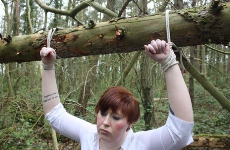 outdoor bdsm free sexy pic