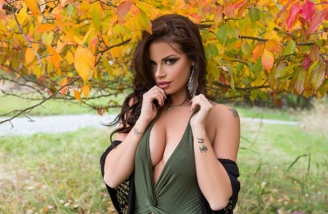 Shelly Lee pornstar perfect image
