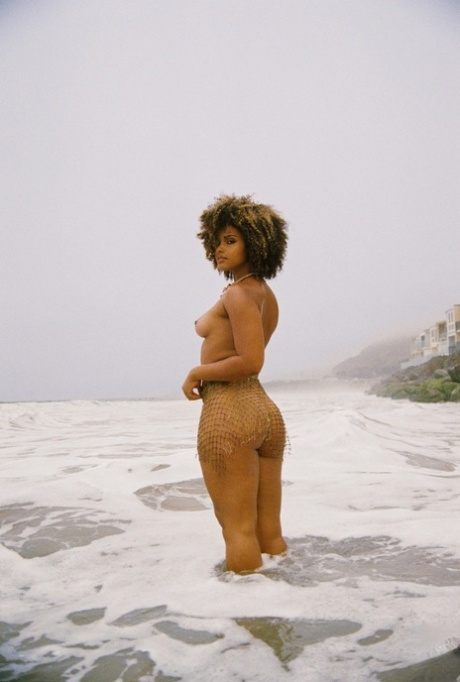 wet ebony top image