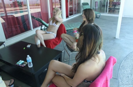 Haley Sweet nice pornstar galleries