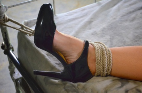 legato bellissimo adulto foto