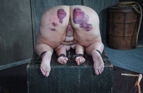 bbw bdsm 色情 圖片