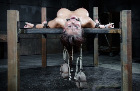 ruiva bdsm pornográfico gostoso arquivo