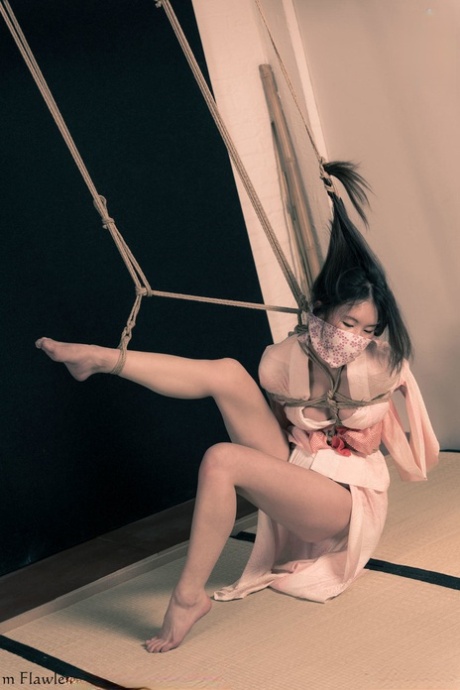 asiatisk bondage het perfekt foton