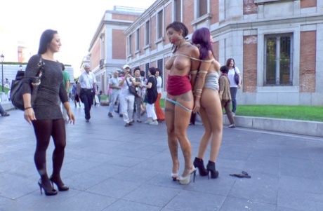 chlupatá milfka dokonalá pornografie galerie