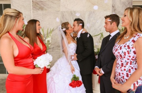 casamento alta qualidade grátis coleção