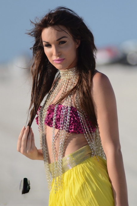 Jonelle Brooks pornstar hd image