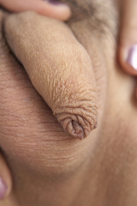 travesti peludo alta qualidade agradável fotos