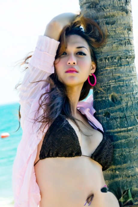 ladyboy Giovane meglio nudo galleria