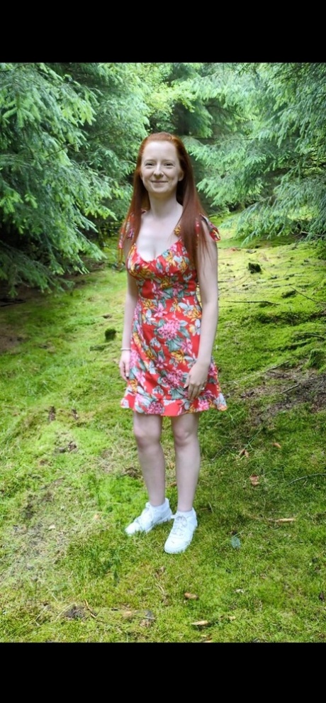 britský vysoká kvalita perfektní snímky