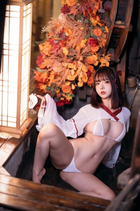 Japanse lingerie vrij afbeeldingen