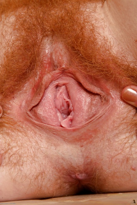 grote clitoris porno's verzameling