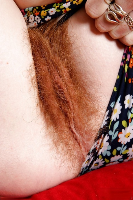 hairy redhead exclusive galleries