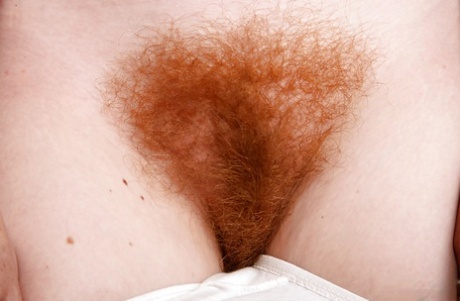 chatte rousse mature art haute définition images