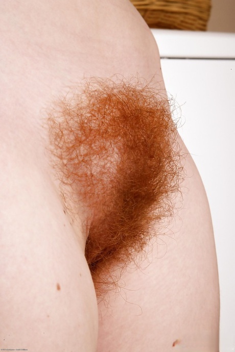 buceta ruiva peluda melhor grátis imagem