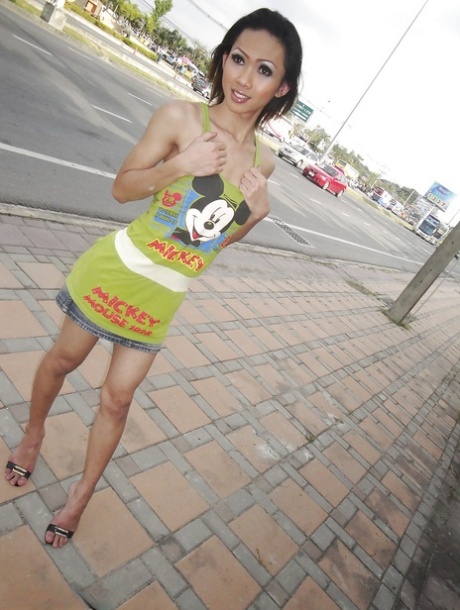 Ladyboy Poppy erotic star archive