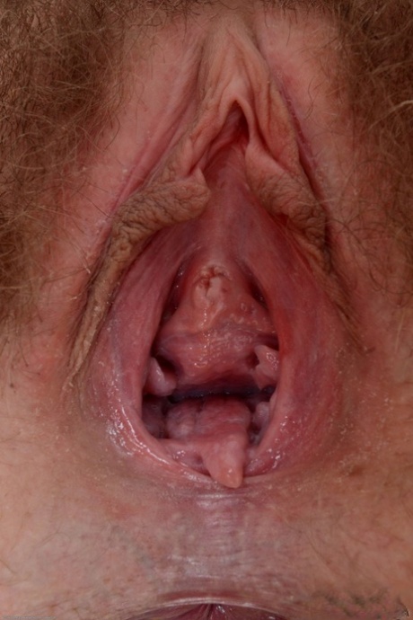 chlupatá kočička roztažení porno fotografie