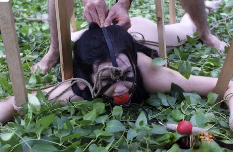 outdoor bdsm pornographic picture