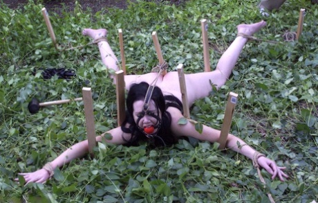 BDSM allaperto xxx caldo img