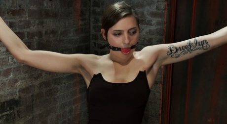 Matt Williams high quality actress image