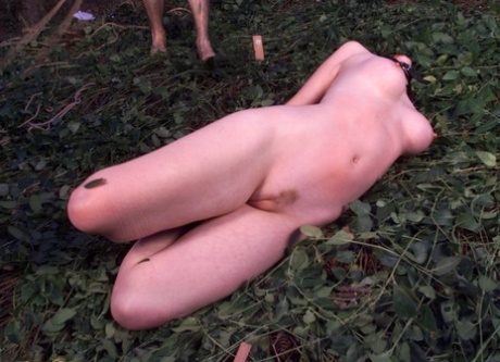 巨乳BDSM 美しいヌード 画像