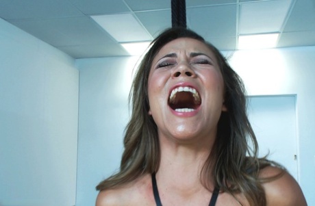 Gia Dimarco top pornstar img