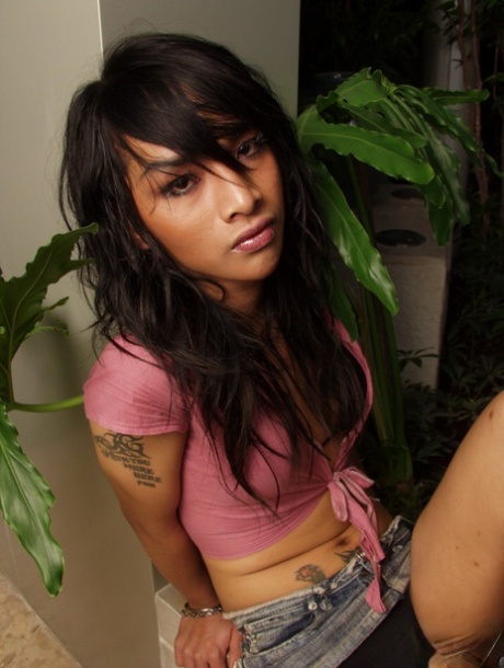 shemale upskirt free xxx archive