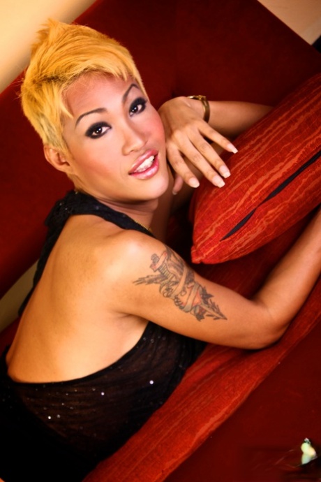 Ladyboy Patty best pornstar pics