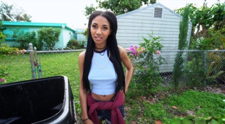 Alexis Avery star top picture