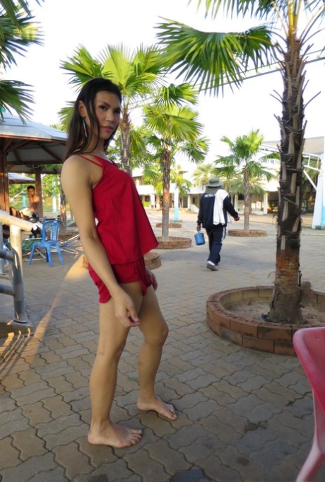thai ladyboy free picture