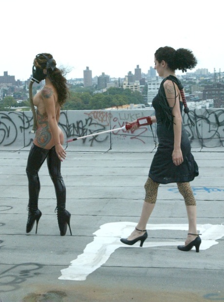 public bdsm art porn images