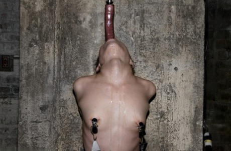 娇小的 bdsm 裸 圖片