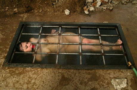 slave perfect galleries