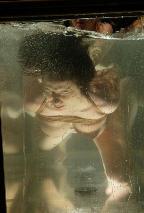 underwater sexy archive
