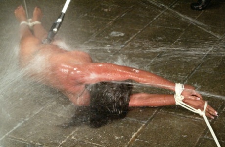 BDSM con curvas mejor alta calidad galerías