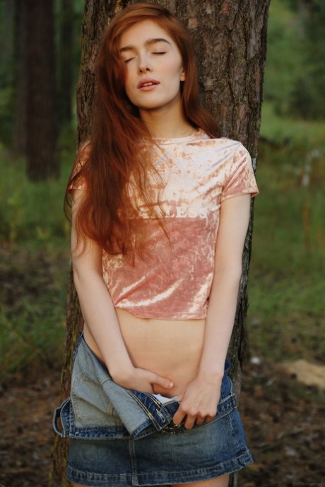 floresta pornografia hd arquivo