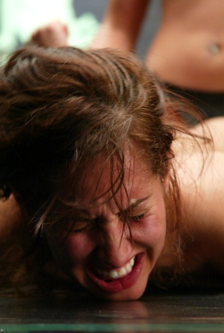 Crimson Ninja model top picture