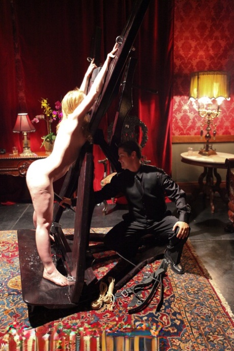 publiczny BDSM idealnie seksowna galeria