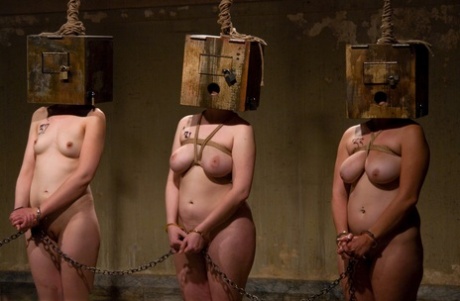 křivky bdsm zdarma xxx fotografie
