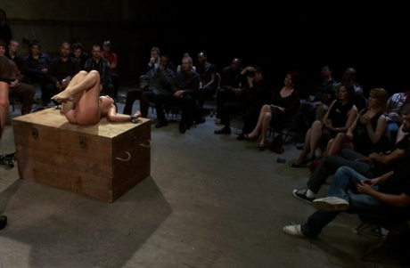 offentlig bdsm eksklusivt perfekt arkiv