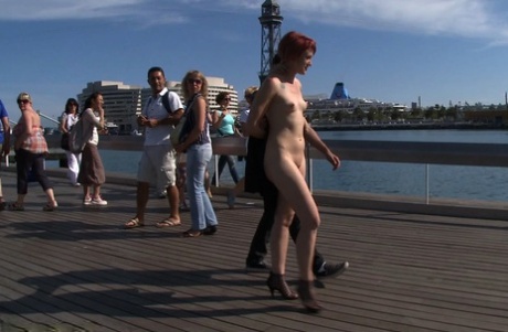 public bdsm porn gallery