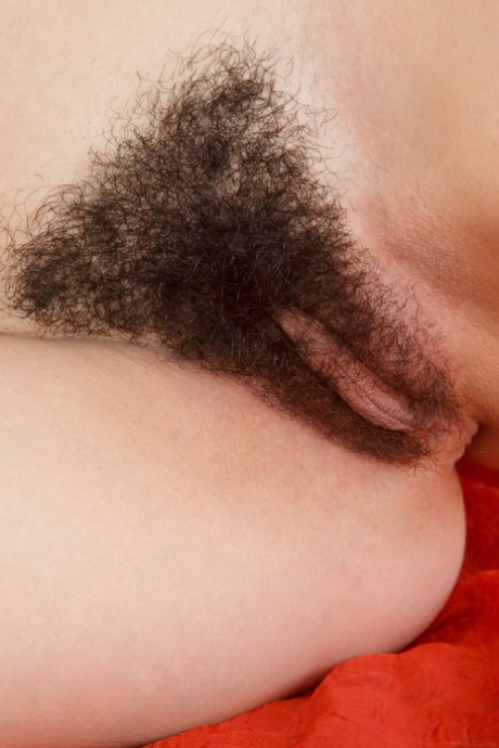 丰满的天然乳房 火辣性愛 圖片
