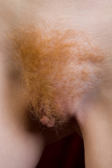 rossa pelosa migliore pornografico archivio