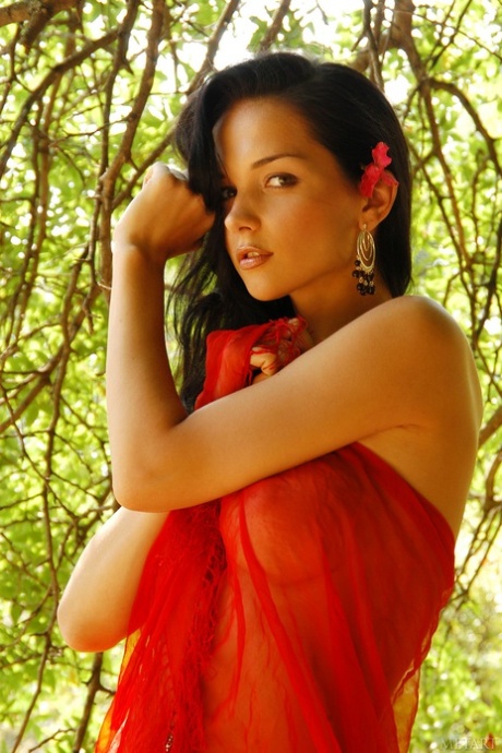 Katie Fey star perfect picture